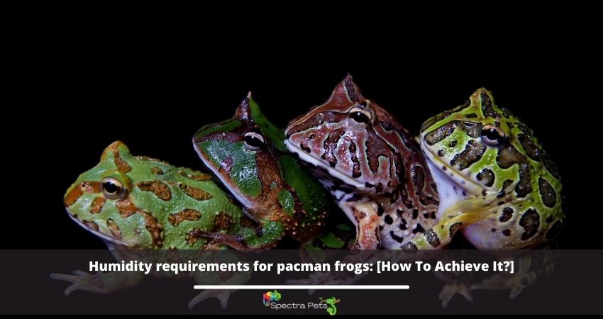Humidity requirements for pacman frogs