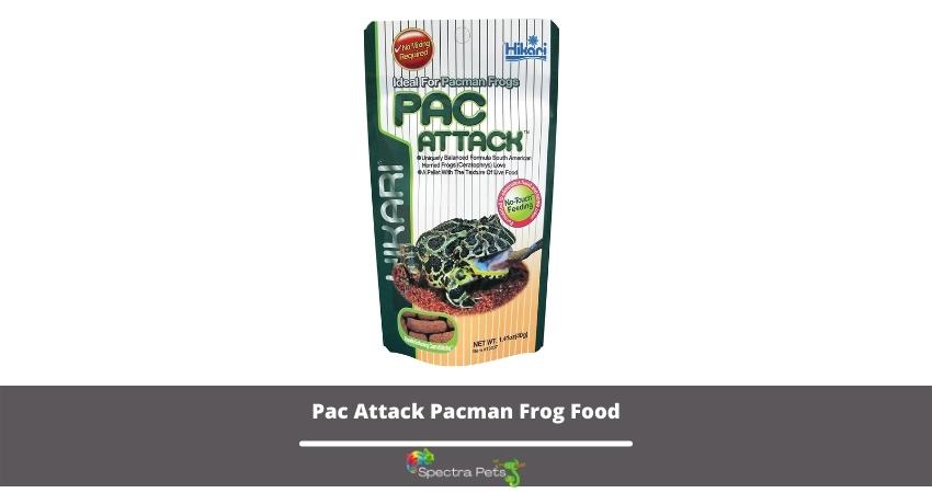 Pac Attack Pacman Frog Food