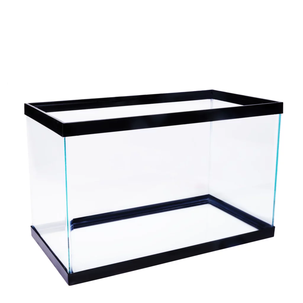 Glass Tank (10-Gallon)