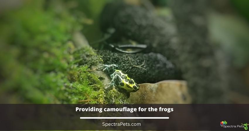 Providing camouflage for the frogs