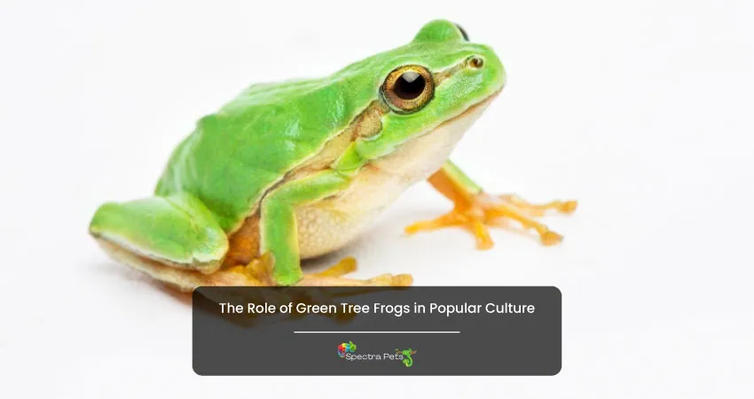 The Role of Green Tree Frogs in Popular Culture