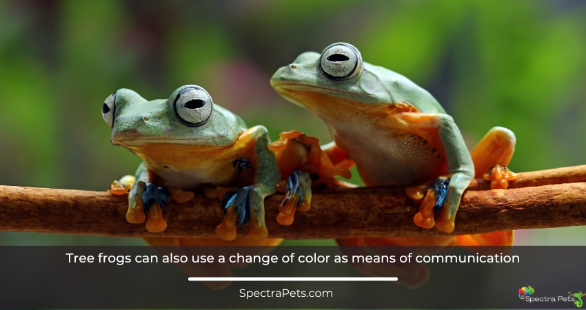 can also use a change of color as means of communication