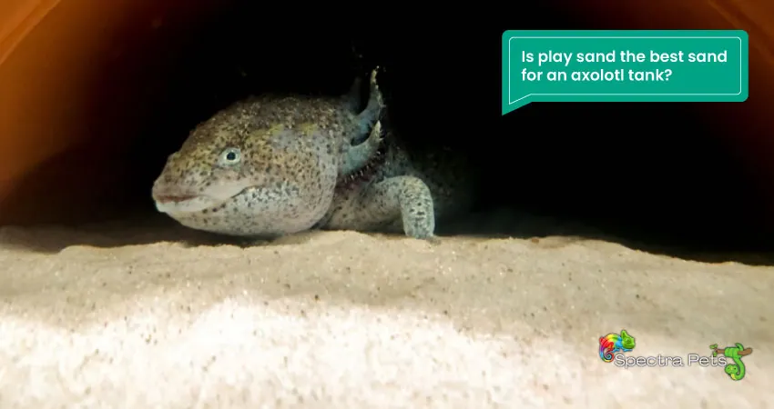 Is play sand the best sand for an axolotl tank