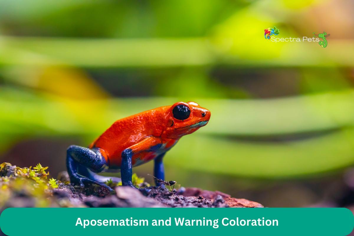 Aposematism and Warning Coloration
