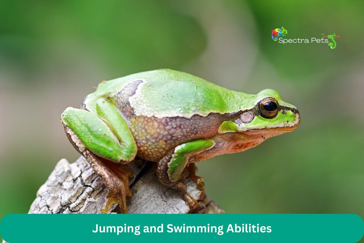 Jumping and Swimming Abilities