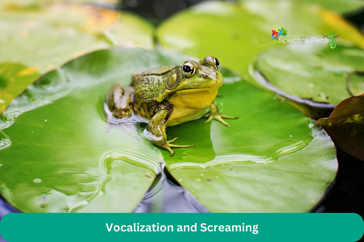 Vocalization and Screaming