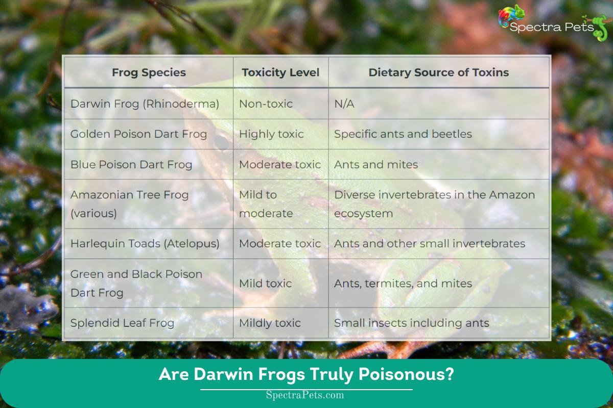 Are Darwin Frogs Truly Poisonous