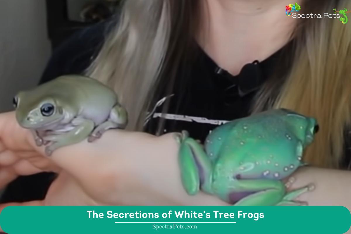 The Secretions of White's Tree Frogs