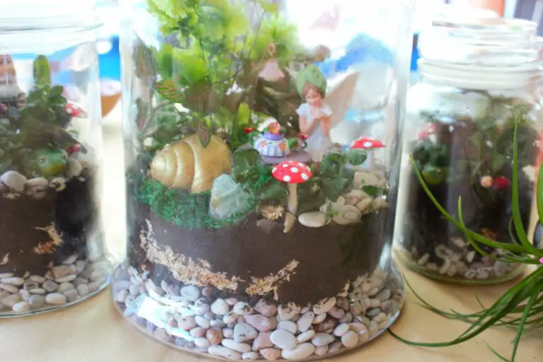 Fairy Garden Terrariums