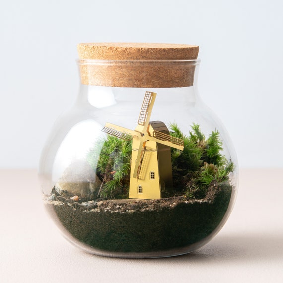 Terrarium Decorations And Accessories