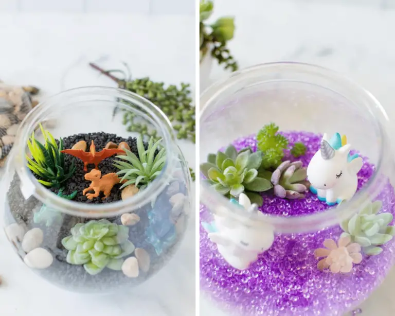 Terrarium for Kids