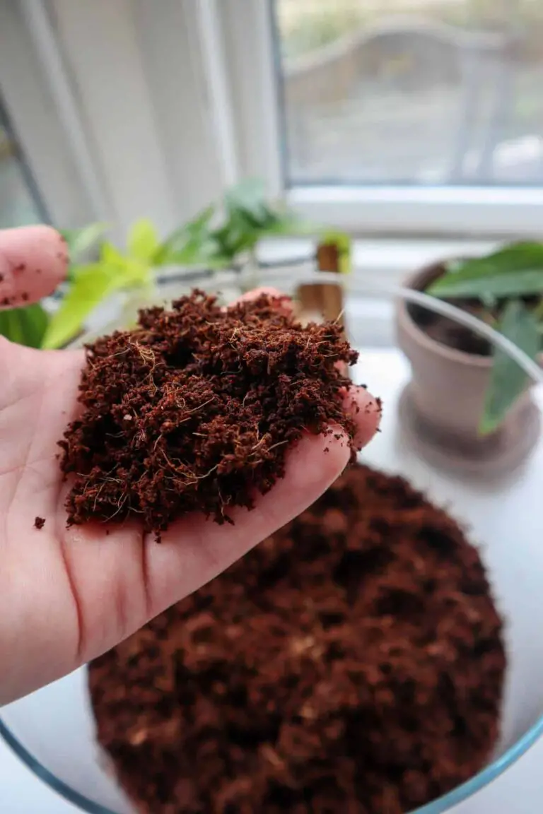 Terrarium Soil And Substrates